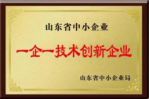 One Enterprise One Technology Innovation Enterprise in Shandong Province